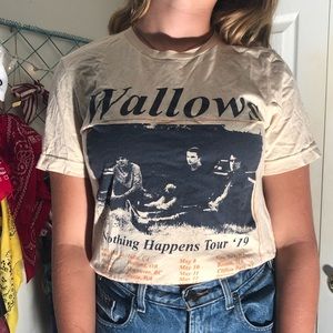 wallows band tee